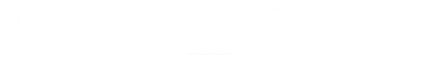 ALC Hosting Networks