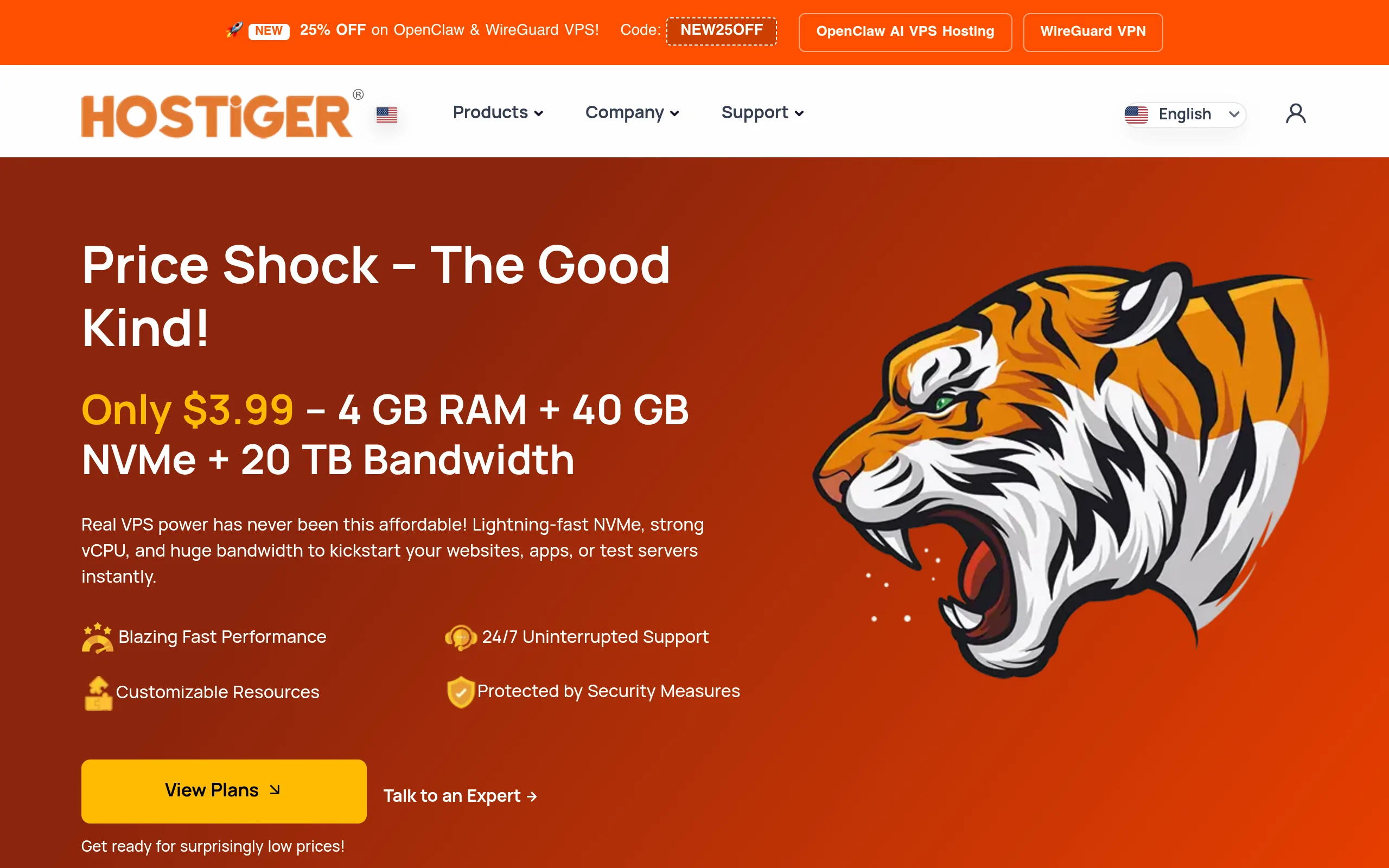 Hostiger Interface